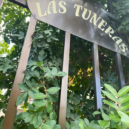 Las Tuneras Apartamento En San Agustin San Bartolomé エクステリア 写真